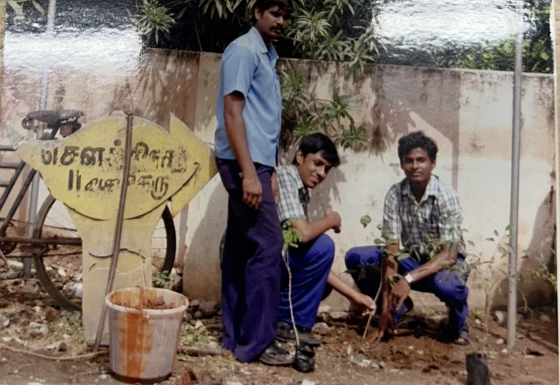 tree-planting-avmrts